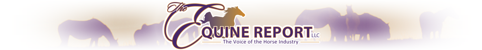 The Equine Report