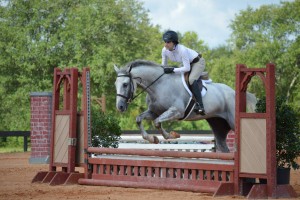 Horse Jump pic