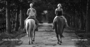 Horses showing the back