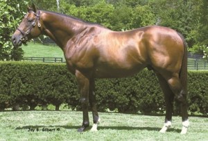 grand sire pic