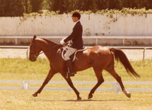 Zam Zam trying to do 3rd Level dressage