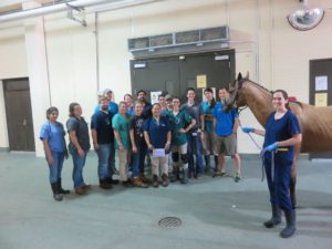 LSU Flood response team in clinic