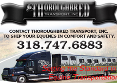 Thoroughbred Transdport