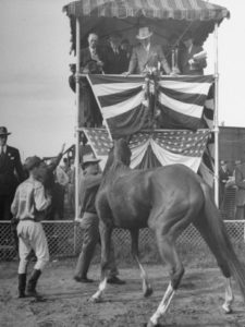 truman admiring a horse at 1945 Missouri Fair